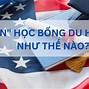 Học Bổng Y Khoa Toàn Phần 2024 Là Gì Của Mỹ