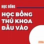 Học Phí Trường Hồng Bàng 2024