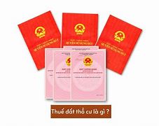 Thuế Đất Tổng Hợp Là Gì