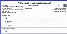 Towf Khai Hải Quan Tiếng Anh Là Gì